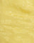  Satin Rose Sunshine Yellow