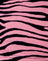 Zips Zebra Pink