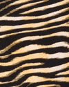 Image of Molemo Plunge Bodice in Zips Zebra Brown