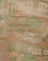 Tonal Paisley Green
