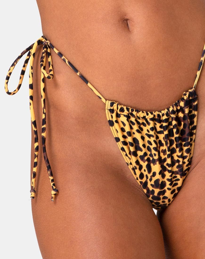 Image of Leyna Bikini Bottom in Golden Cheetah