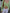 image of MOTEL X JACQUIE Sujata Cardi in Rib Knit Pastel Lime