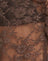  Lace Chesnut Brown