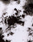 Mono Tie Dye Black and White