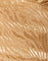 Satin Zebra Caramel
