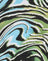  Warped Zebra Blue
