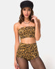 Image of Hilly High Waist Hot Pant in Leopard