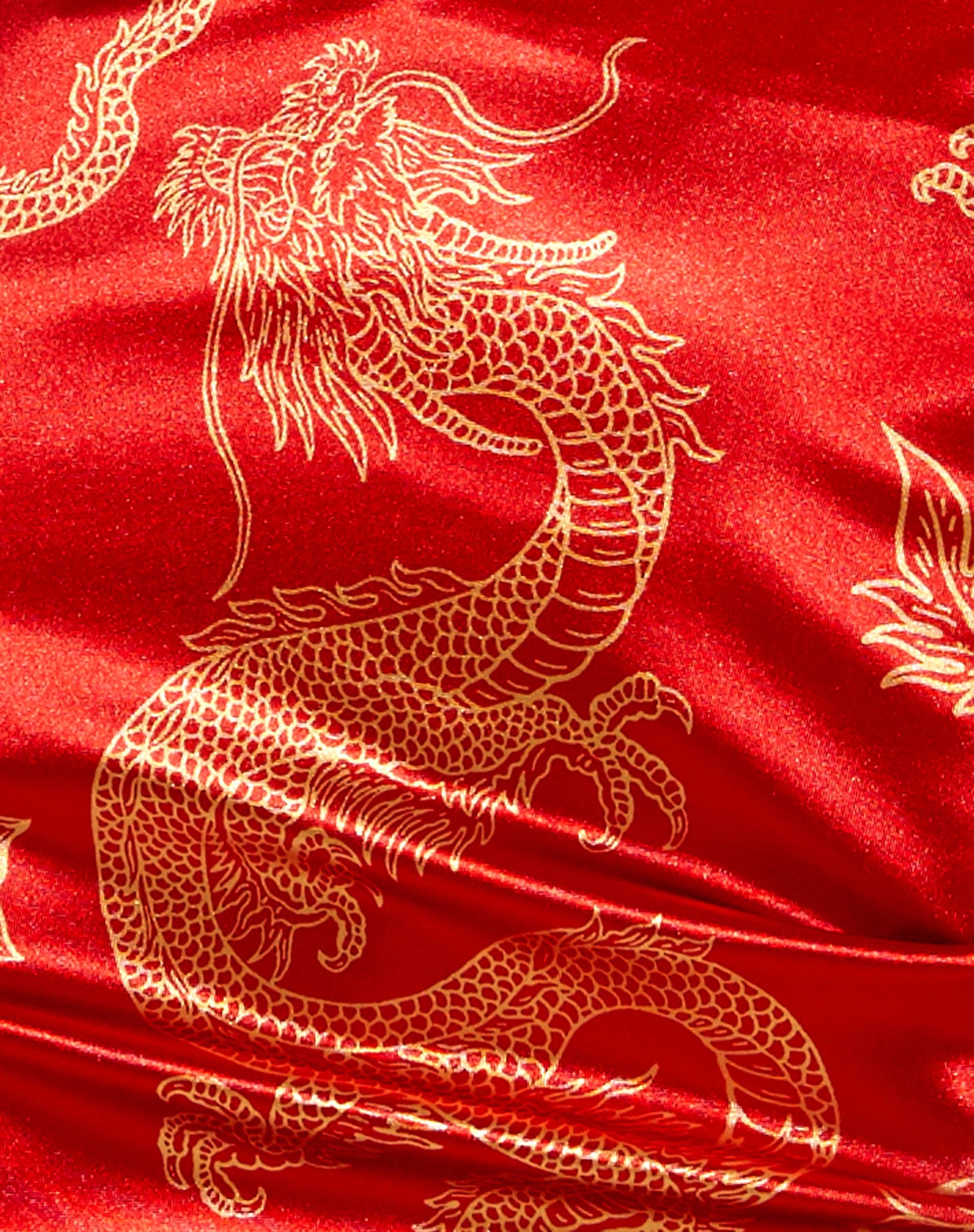 Image of Wren Mini Skirt in Dragon Flower Red and Gold
