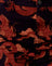 Tonal Dragon Orange