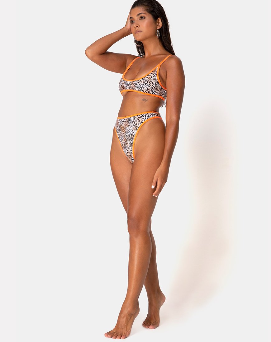 Image of Sikila Top Bikini in Mini Tiger with Orange Binds